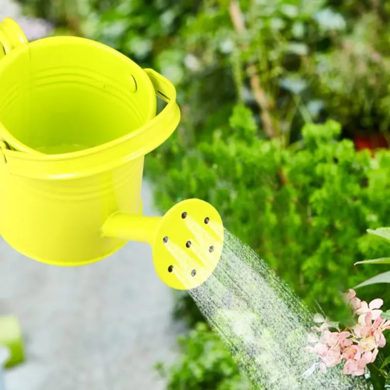 

Candy Color Mini Sprinkler Home Garden Indoor Vintage Flower Metal Arrangement Succulent Planting Pot Watering Iron Pott 1pc