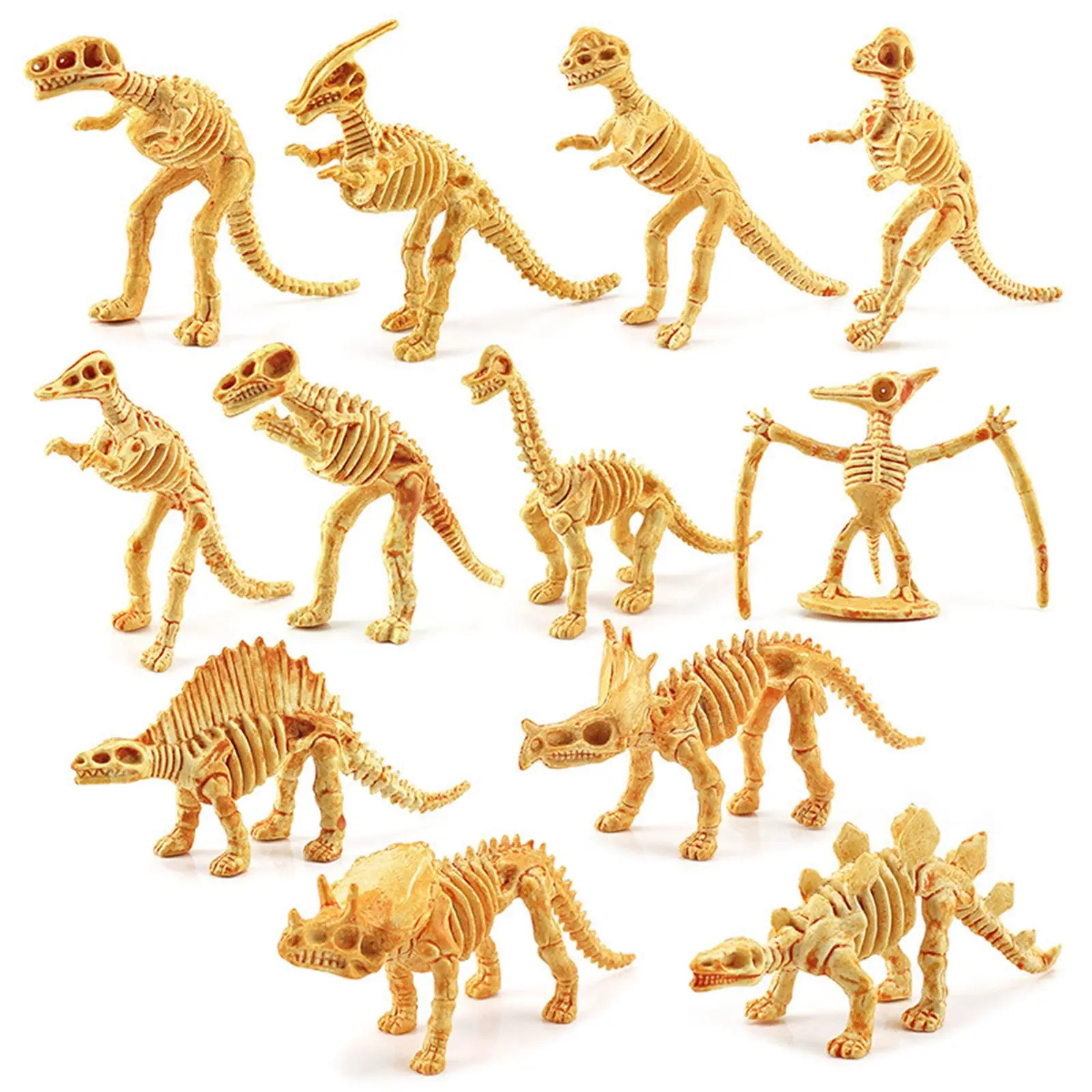 

Mini Dinosaur Skeleton Models Educational Pack of 12 Education Supplies Kids