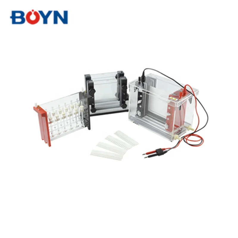 

JY-SX3 Gel Electrophoresis System Apparatus