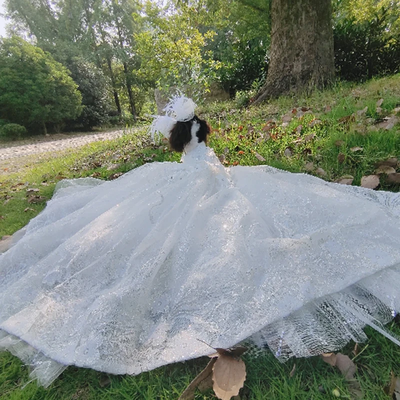Роскошное платье с вышивкой и шлейфом для маленьких собак свадебное блестящее