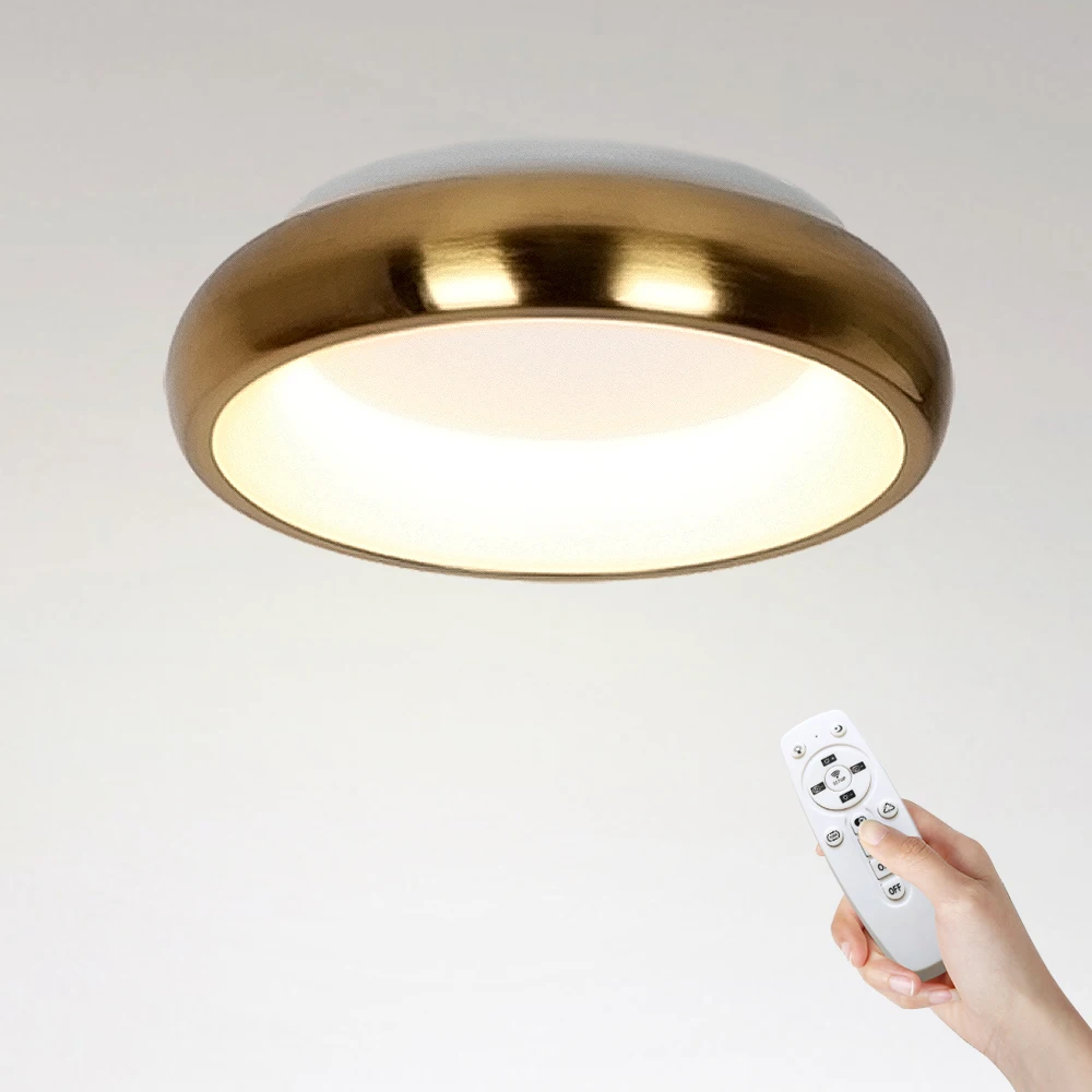 

Modern LED Ceiling Lights 54W Dimmable Ceiling Lamp with Remote Control Ceiling Light Fixture for Living Room Kitchen Bedroom