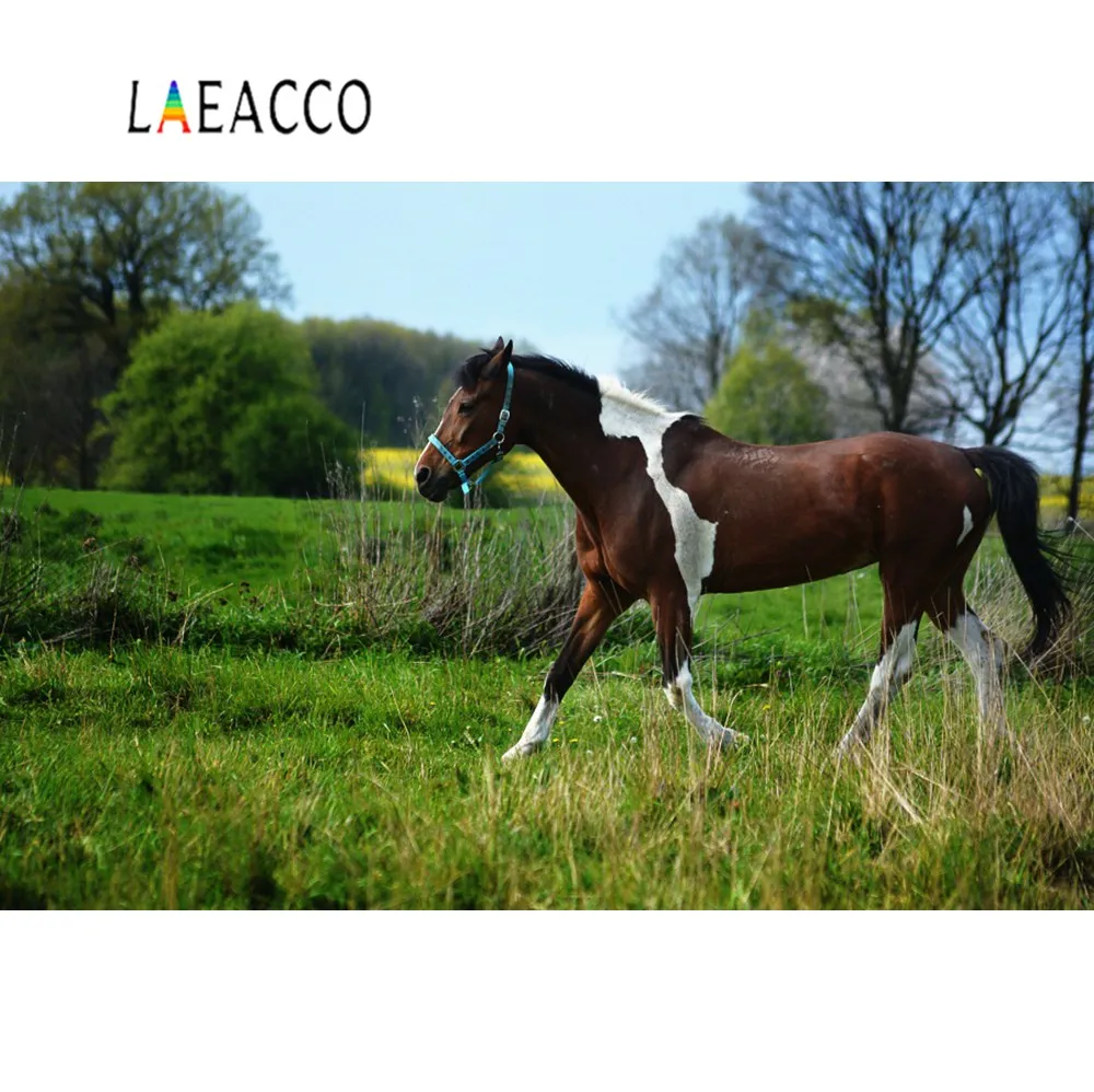 Laeacco фон природа зеленая луга лошадь ферма дерево живописный фотографический для