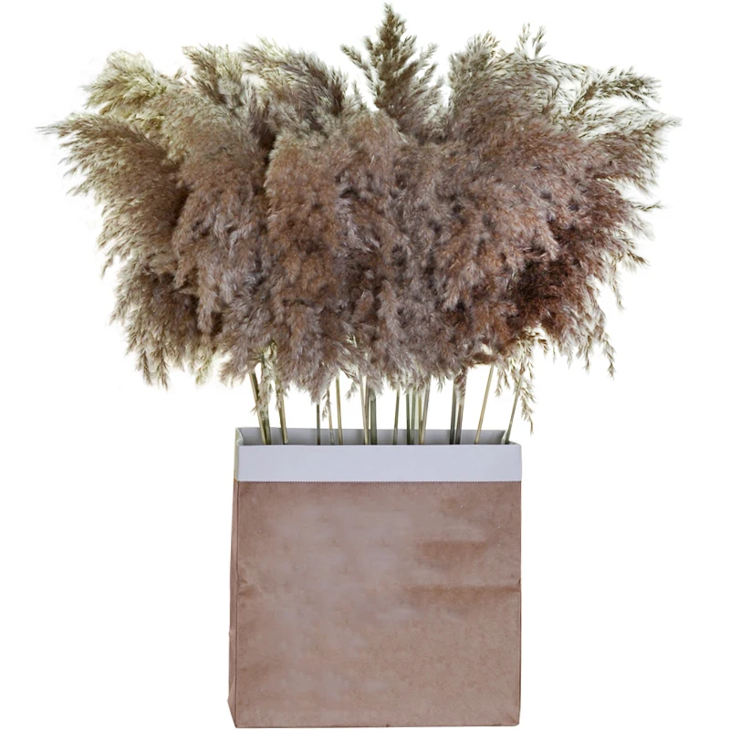 Натуральная сушеная трава пампасы фрагмиты связка свадебных цветов для