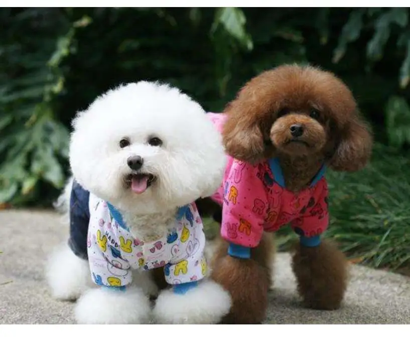 Полный квадрат Алмазная картина собаки животное вышивка мозаика Алмазный dotz