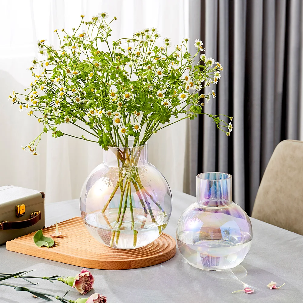 

Creative Light Bulb Glass Vases Flower Pot Bottles Decoration Home Garden Docoration Nordic Transparent Round Hydroponic Vase