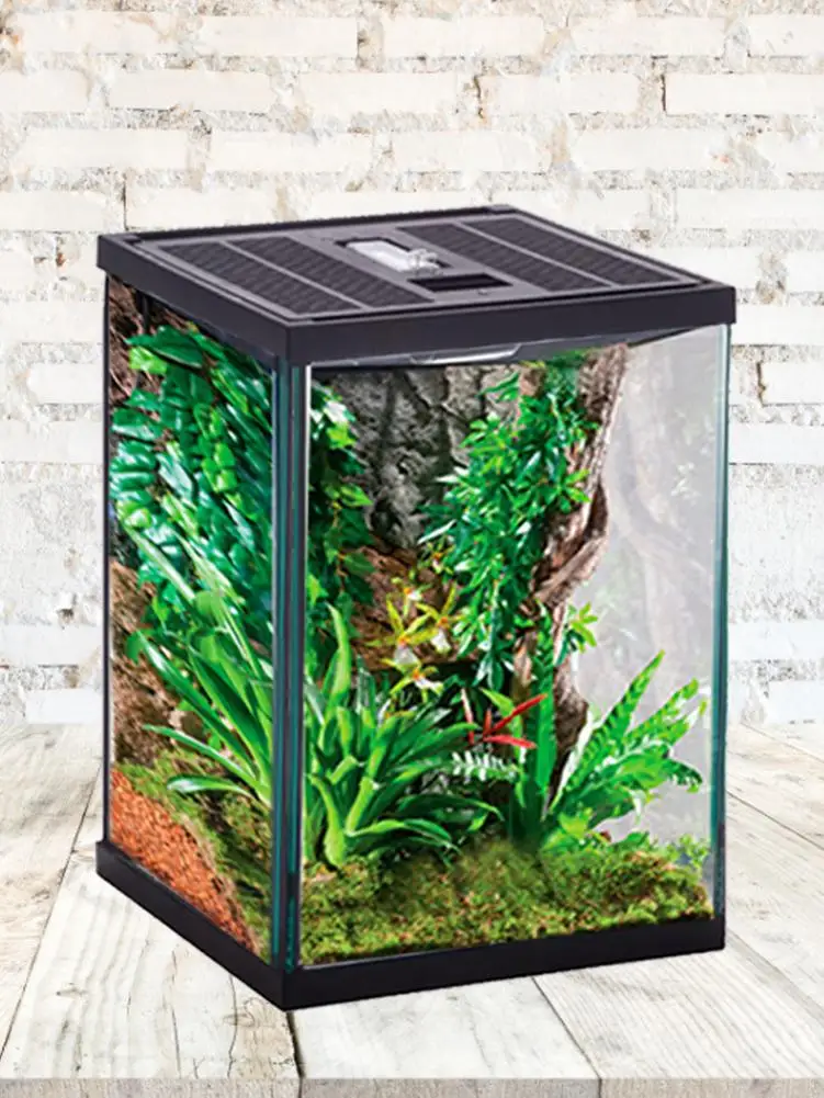 Стеклянный террариум для рептилий натуральный удобный ползающий ящик кормления