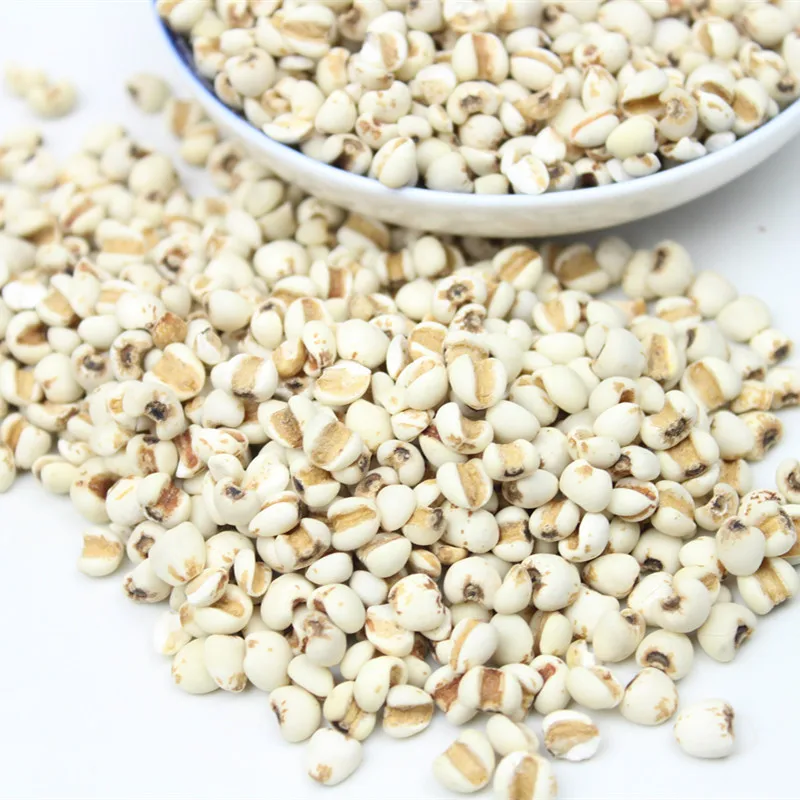 

New Product High Quality Coix Chinensis Tod , Yi Mi Ren, Good Quality