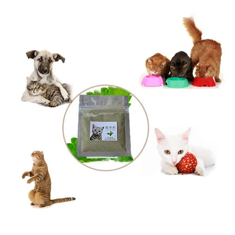Горячие котята закуски кошачья трава натуральный нетоксичный для удаления