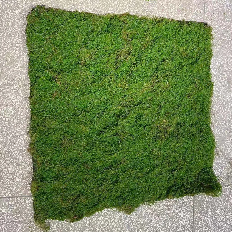100cm * 100cm Fake Moss Green Grass Lawn DIY Artificial Moss Micro Landscape Wallboard Decoration Home Shop Wedding Decoration