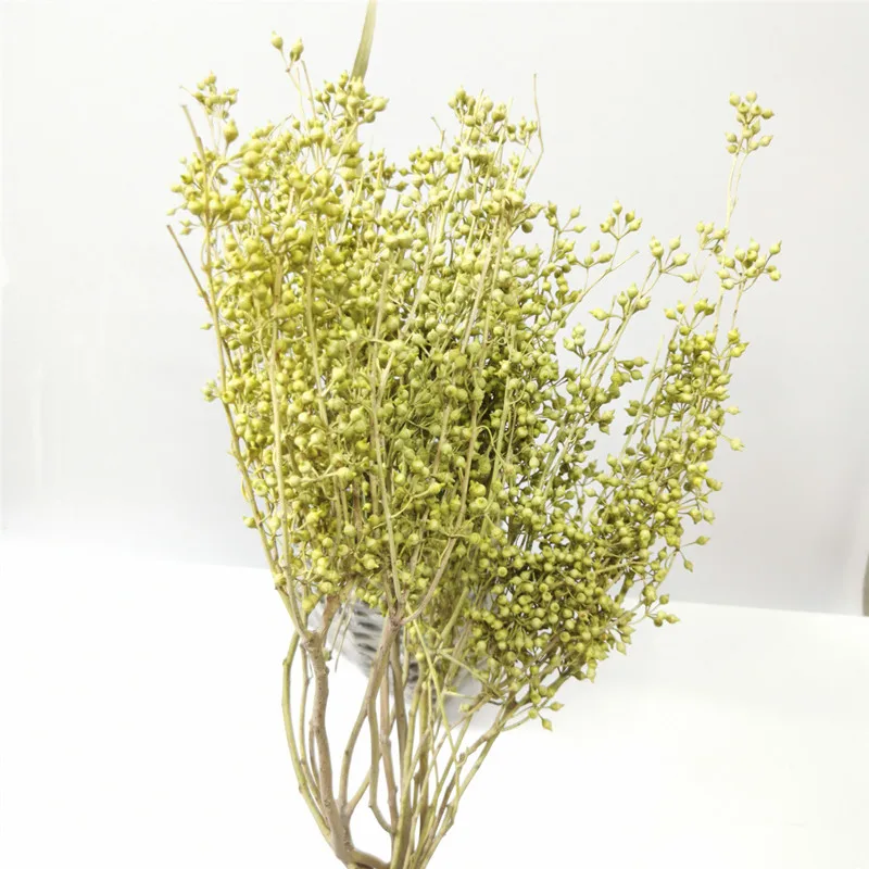 Natural Eucalyptus Dry Small Fruits Branch Globulus Millet Claw-Shaped Flower Bouquet For Home Easter Decorations
