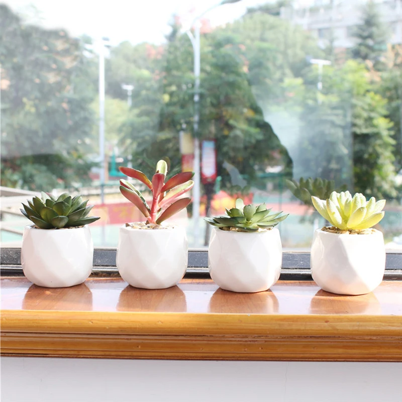 Зеленые искусственные суккуленты растения для украшения дома и сада свадебные