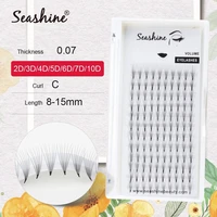 seashine premium premade volume fan 2d 3d 4d 5d 6d fanned eyelash extension russian mink lashes individual makeup tool cilios