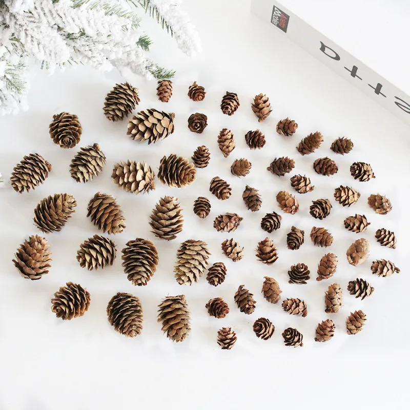 

100 Pieces 1-2cm Natural Pine Cones Decorative Ornaments Xmas Photo Props Mini Pine Flower Dried Flower DIY Wooden Decoration