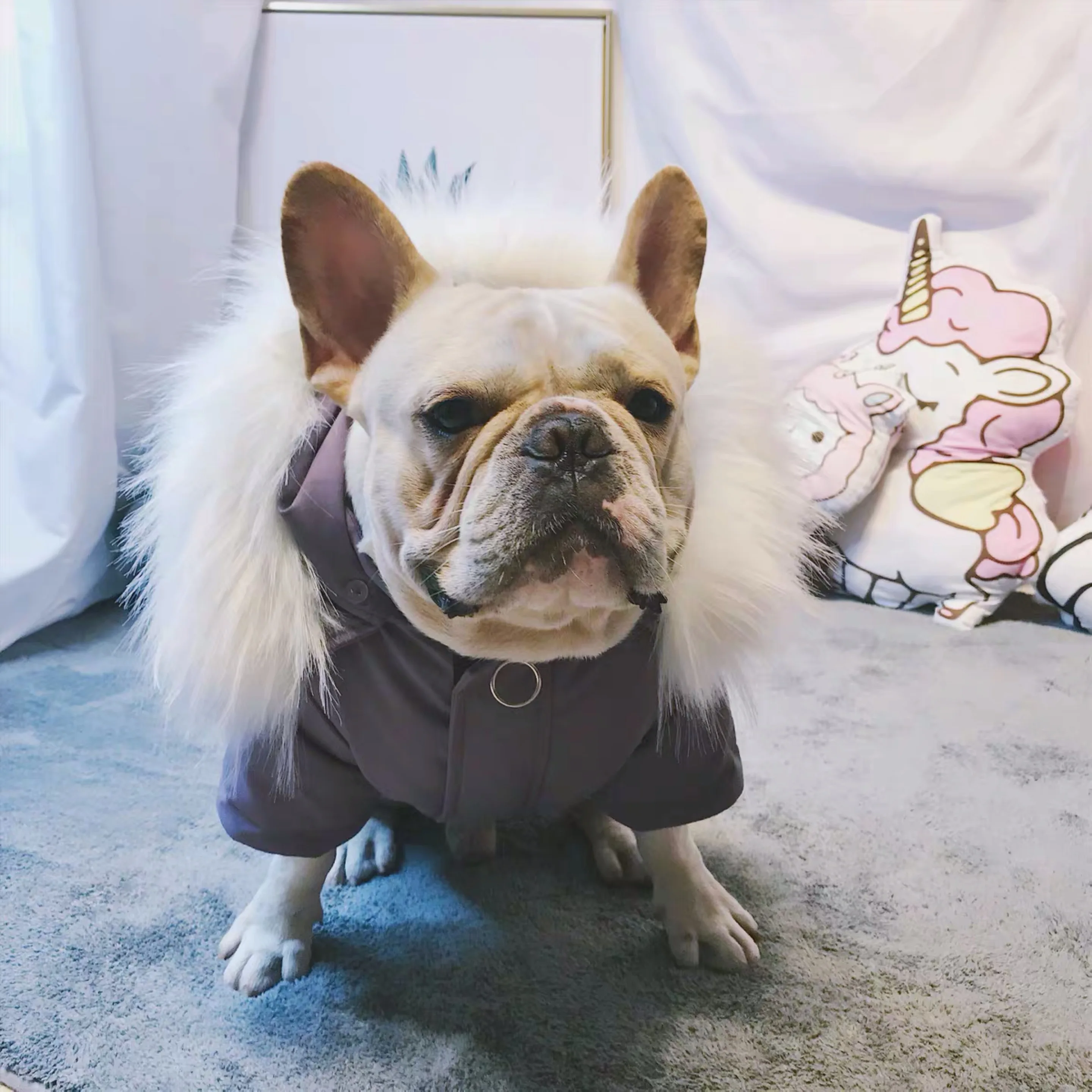 Модный пуховик для собак одежда щенков зимний теплый свитер толстовка с