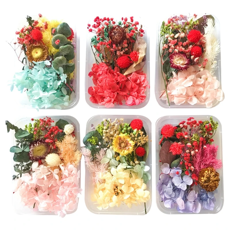 

1 Box DIY Dried Flowers UV Resin Decorative Natural Flower Stickers 3D Dry Decal 16FF