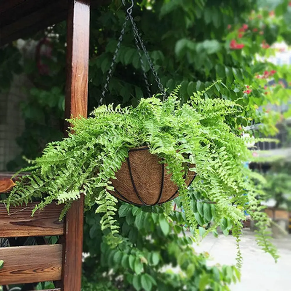 1pcs Garden Plant Planter Flower Basket Wrought Coconut Half Round Flowerpot Hanging Pots Window Rattan Decor Wall Iron | Дом и сад