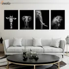 Настенный художественный плакат с изображением диких животных, черно-белый цвет, принт в виде гепарда, слона, жирафа, для гостиной, домашняя фотография