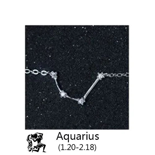 Aquarius Trustdavis Настоящее 925 пробы Серебряный Кристалл Телец Козерога Скорпион 12 Созвездие браслет для женщин Свадебные украшения - Окраска металла: Aquarius