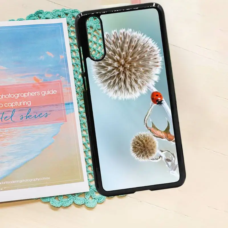 

four leaf ladybug daisy shell Phone Case PC for iPhone 11 12 pro XS MAX 8 7 6 6S Plus X 5S SE 2020 XR