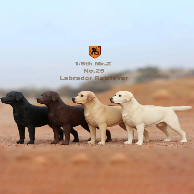

Mr.Z MCCToys 1:6 Scale NO.25 Labrador Retriever Dog Toys 001/002/004 For 12'' Action Figure DIY Accessory