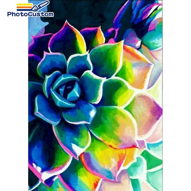 

PhotoCustom Paints By Number Colorful Succulents Drawing On Canvas HandPainted Paint Plant Art Gift DIY Art Gift DIY Pictures