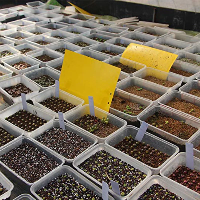 

20 Pcs/Set Home Garden Supplies Dual-Sided Yellow PVC Sticky Traps Planting Flying Insect Trap For Prevented Fungus Whiteflies