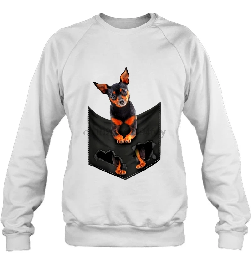 Мужская толстовка с миниатюрным карманом для собак женская уличная