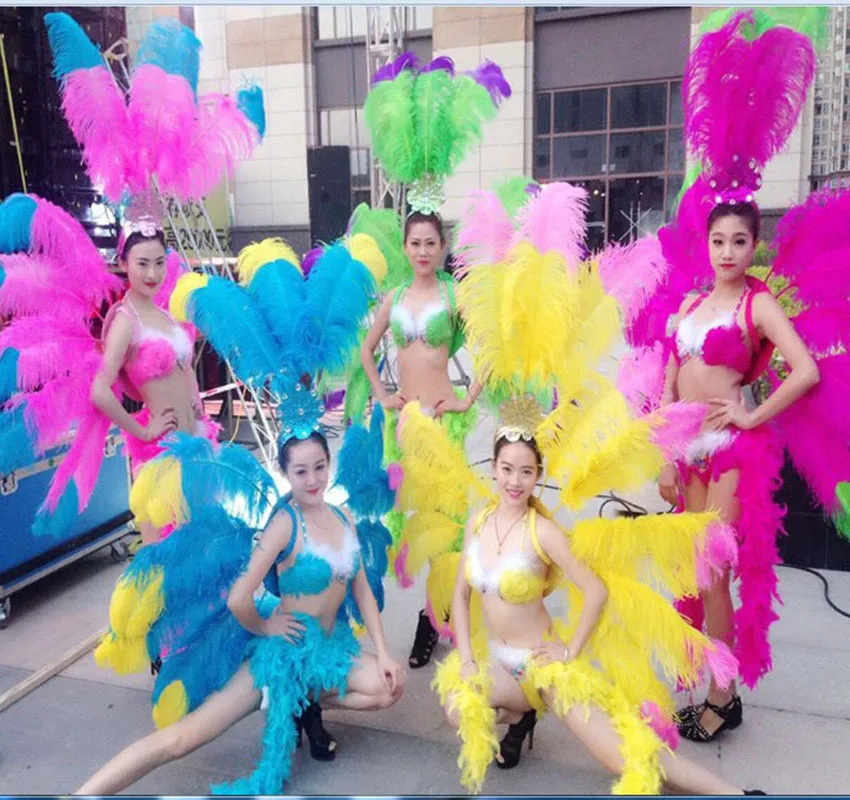 

singer dance show women's sexy feather wings costume party samba cosplay festival carnival costumes feather backboard