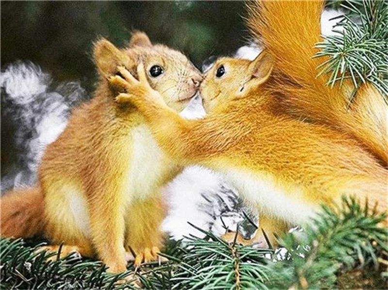 

Набор масляных цифровых красок по номерам № 2058, 40x50 см, без рамки