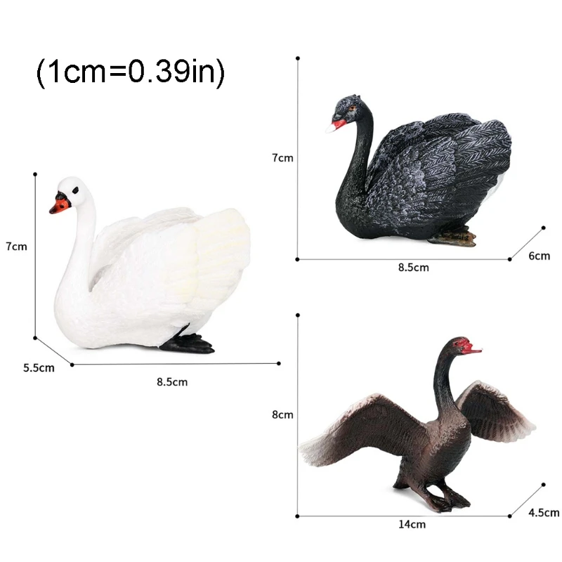 

Simulation Static Solid Animal Model Ornaments Realistic Swan Children Educational Props Scene Decoration Kids Toy