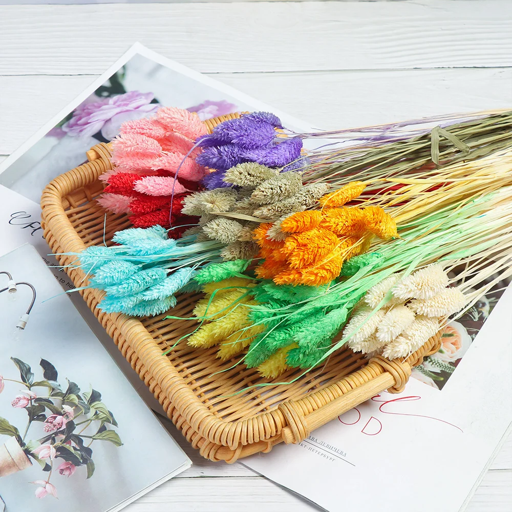 Лидер продаж 20 шт./лот Натуральные сушеные цветы с кроличьим хвостом букет