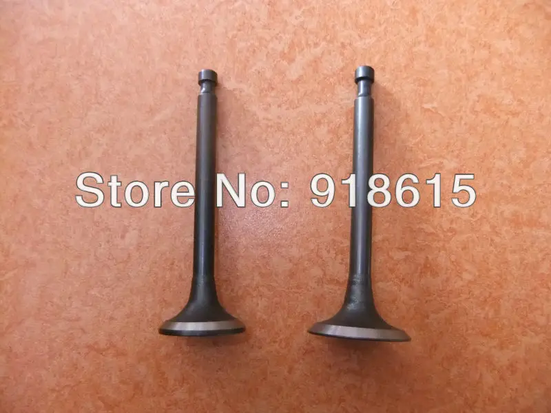

GX270 Intake Valve Exhuast Valve Gasoline Engine parts