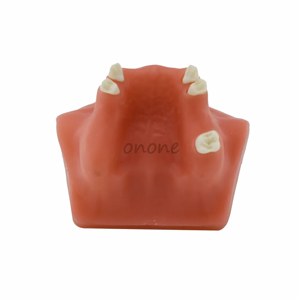 Модель зуба имитирующая рот для поднятия зубной пазухи 1 шт.