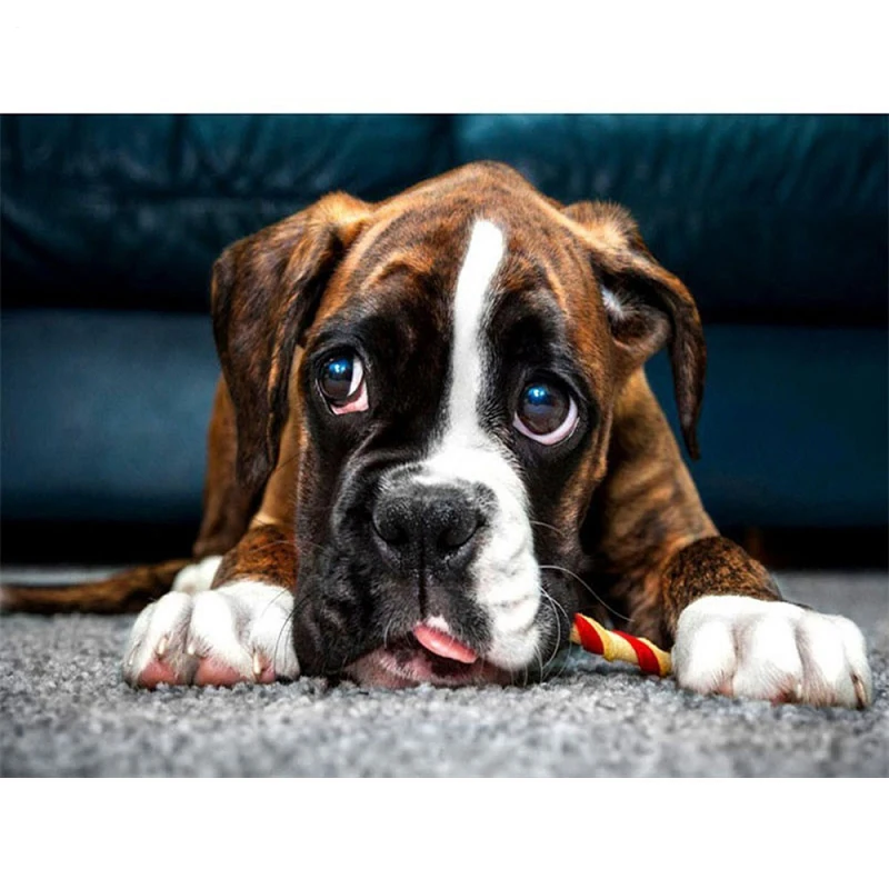 

5D DIY алмазная живопись, бриллиантовая вышивка, картина стразы, мозаика, полная круглая/Алмазная дрель