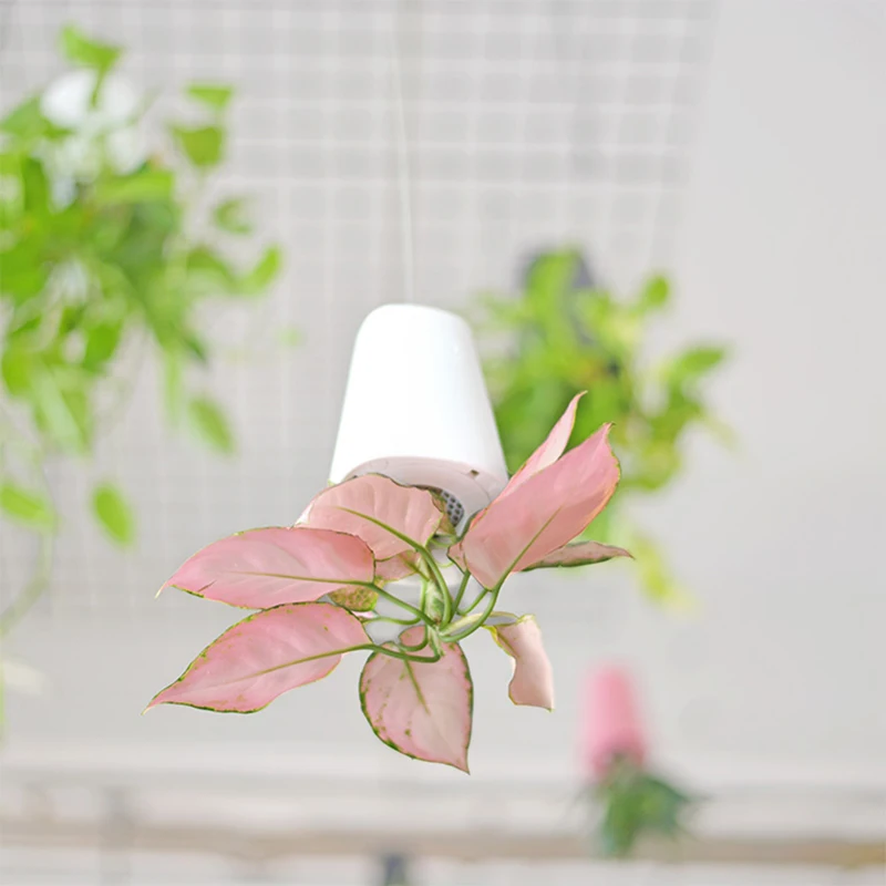 19*13 5 см большое пластиковое небо кашпо декоративное перевернутое растение