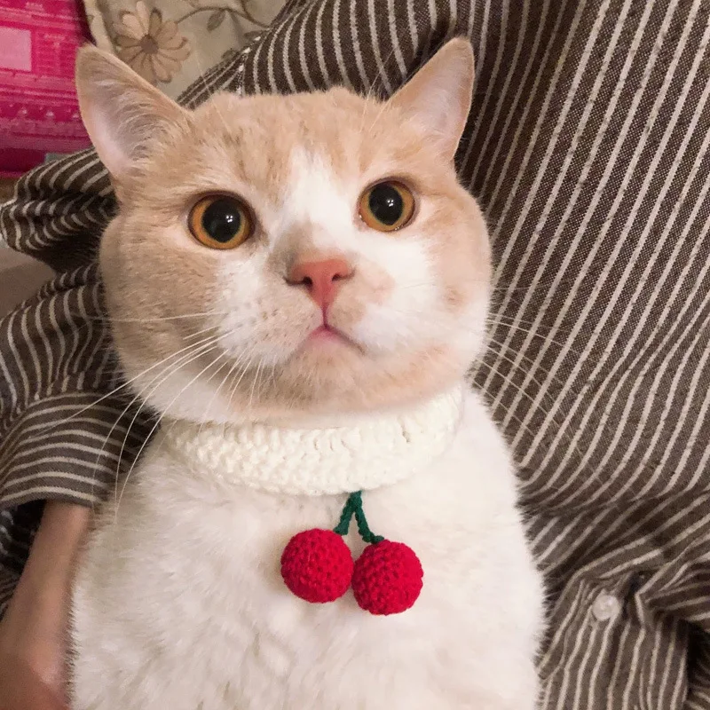 Модный шерстяной шейный платок для собаки милый домашний питомец собака кошка