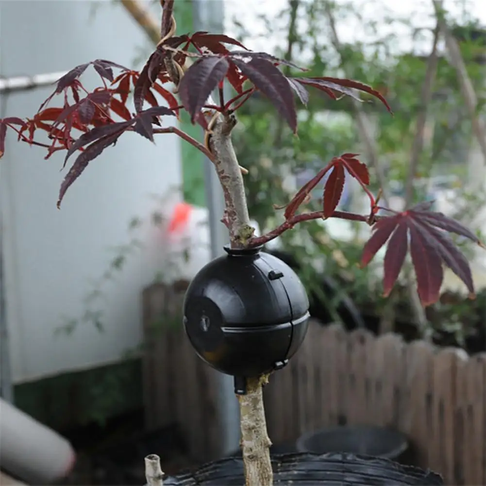 Вспомогательное устройство для укоренения растений 20 шт. коробка прослоивания