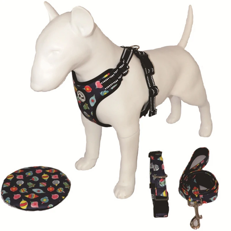 

Комплект шлейки для домашних животных, Регулируемый жилет с маленьким поводком и ошейником для щенков и кошек, для игр на открытом воздухе, 4...