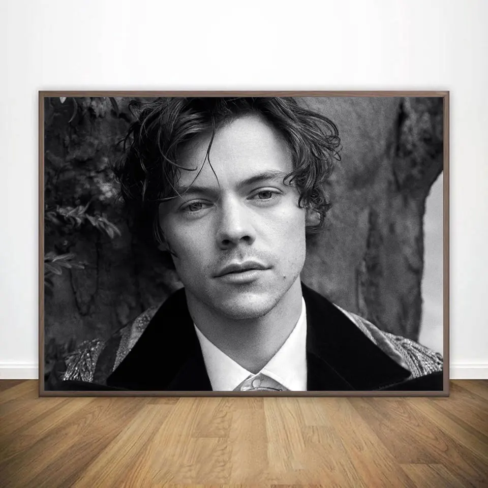 Harry Styles плакат музыкальный Звездный Тур Стар хитовые холст картины Плакаты