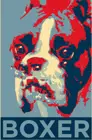 Боксерская собака художественный принт собака влюбленные Животные Ретро Мода шикарный Забавный металлический жестяной знак Предупреждение 12x16 дюймов