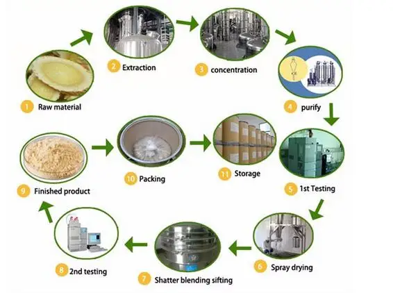 

100g/200g-Xilaizhi extract 10:1 Strengthen the immune system