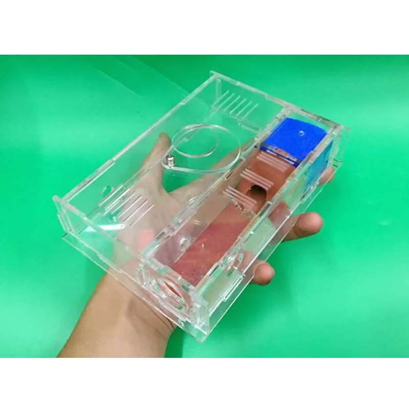 Собственная улитка дом Муравьиное гнездо акриловый муравей замок область