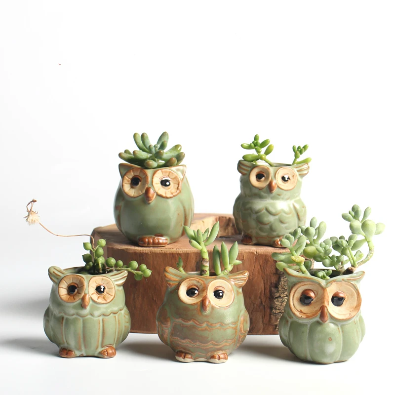 5 шт./компл. креативные керамические мини горшки для цветов в форме совы|flower pot|mini