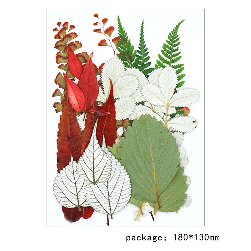 1 пакет натуральные сухие листья декоративные настоящие высушенные цветы