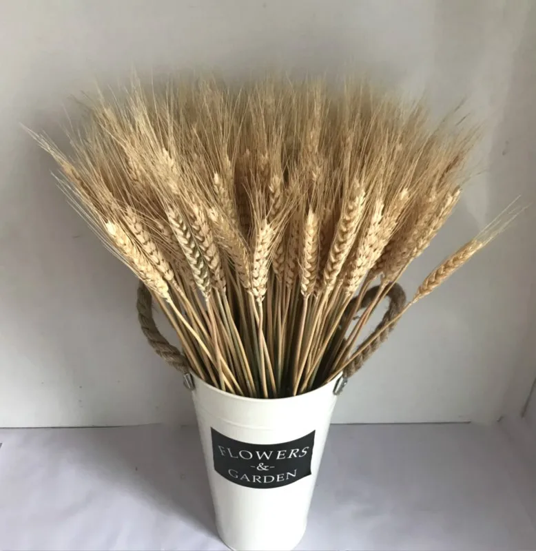 Сушеные цветы с 30 стеблями пампасная трава натуральные растения Цветочная