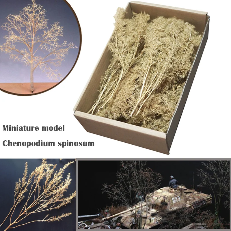 Miniature model  Chenopodium spinosum  Train sand table  War scene model  DIY transformation materials