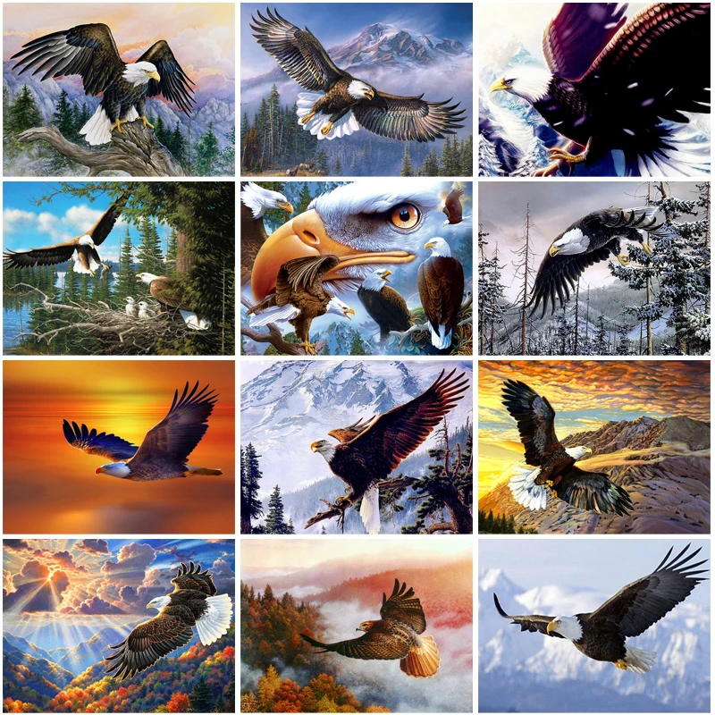 Алмазная вышивка Орлан на закате|Алмазная мозаика и вышивка| |