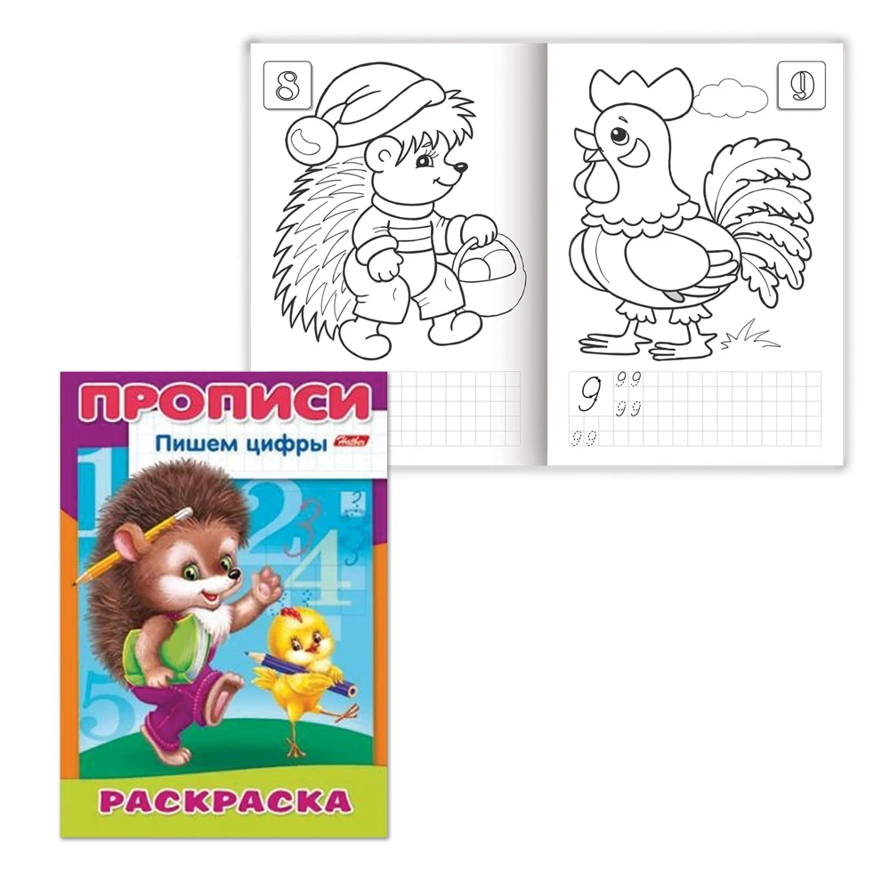 Книжка-раскраска А4 8 л. HATBER Прописи-Цифры Ежик 8Р4 10919 R006925 | Канцтовары для офиса и