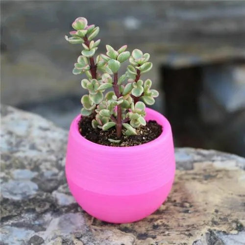 Rose Red Flower pot Mini Colorful round Plastic flower pot for garden home office desktop flower pot flower pot decoration accessories - Цвет: Rose Red