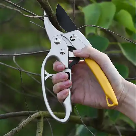 Ножницы из высокоуглеродистой стали для садовых растений, садовые ножницы для подрезки ветвей, триммер, инструменты